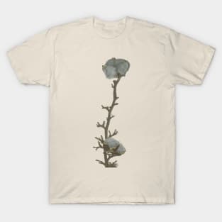 Single twig of natural grey blue cotton boll leaning against the white illuminated wall background T-Shirt